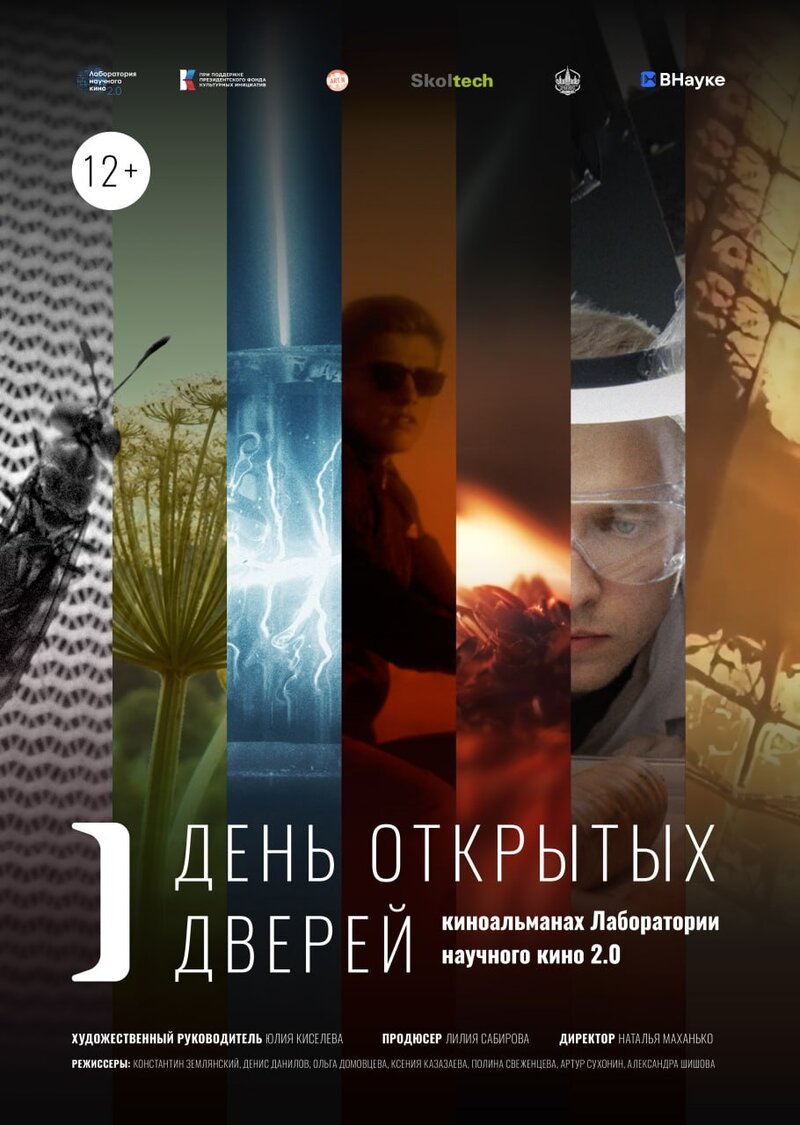День открытых дверей (2024) - постер 1