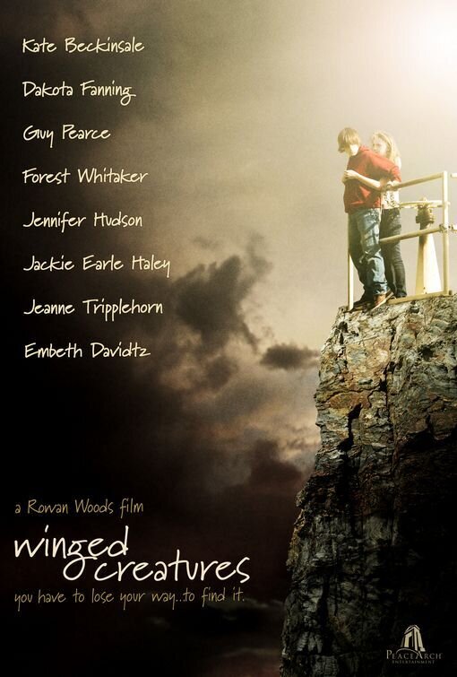 Полет длиною в жизнь (2008) - постер 1