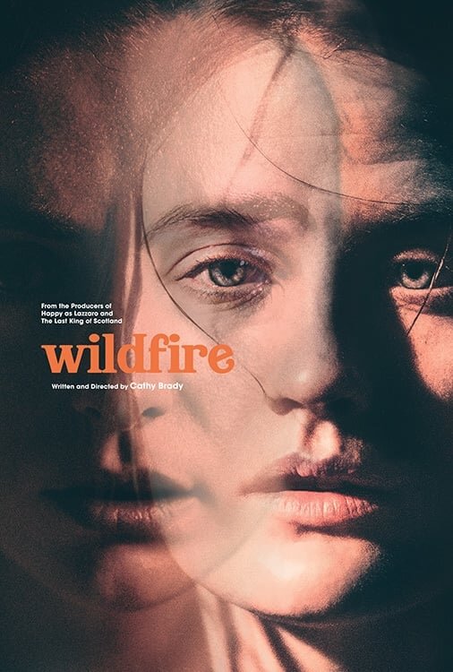 Из огня да в полымя (2020) - постер 2
