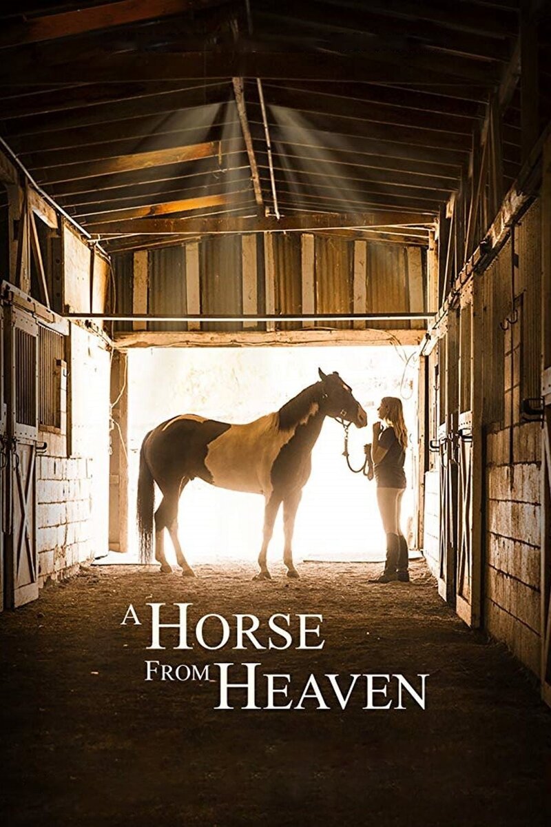 A Horse from Heaven (2018) - poster 1
