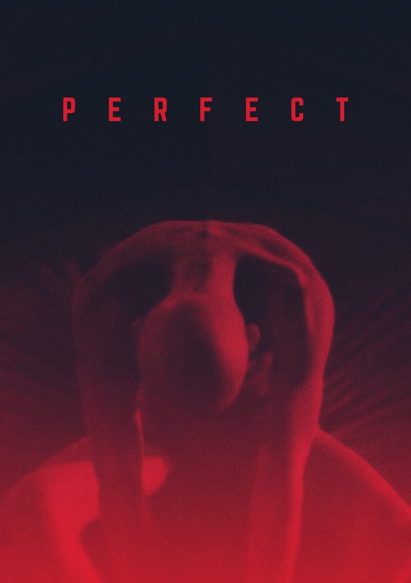 Perfect (2018) - poster 1