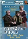 Семейная жизнь (1971) - постер 1