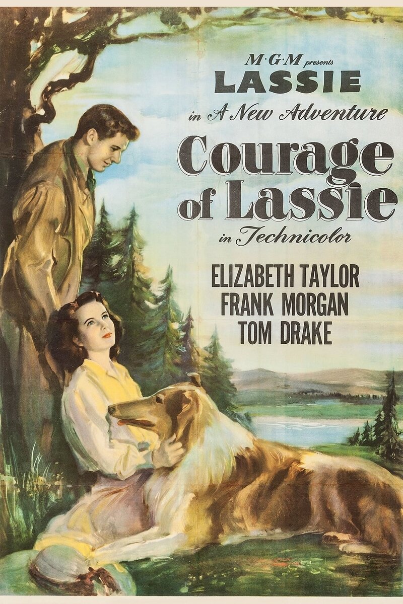 Courage of Lassie (1946) - poster 1
