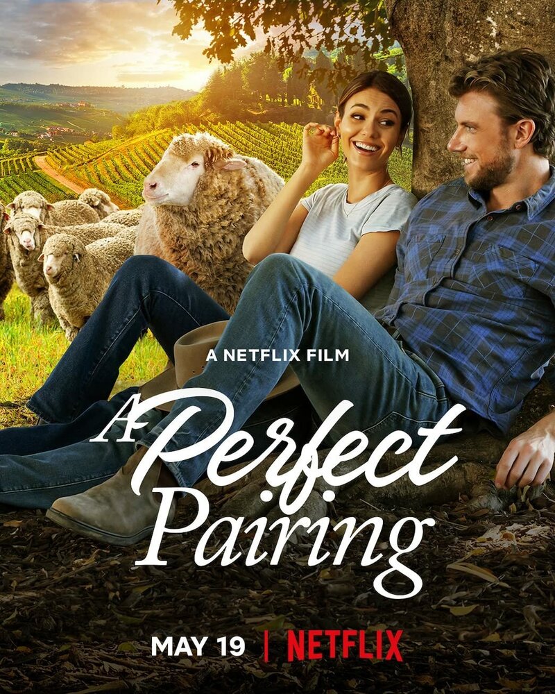 A Perfect Pairing (2022) - poster 1