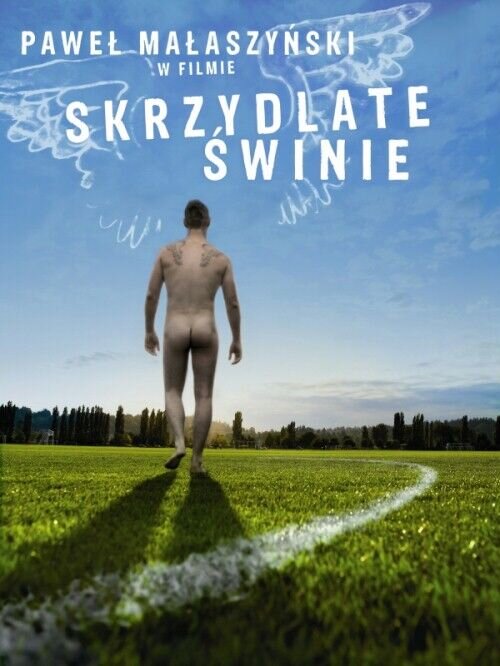 Flying Pigs (2010) - poster 1