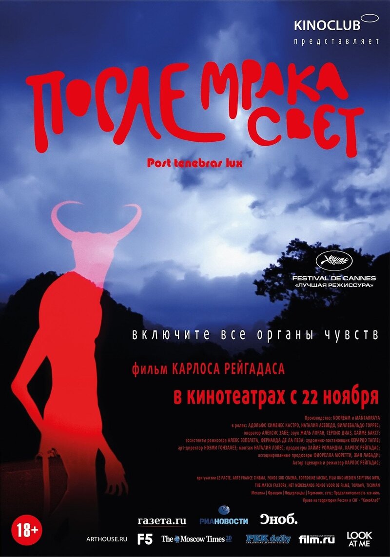 После мрака свет (2012) - постер 1