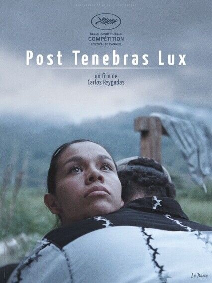 После мрака свет (2012) - постер 2