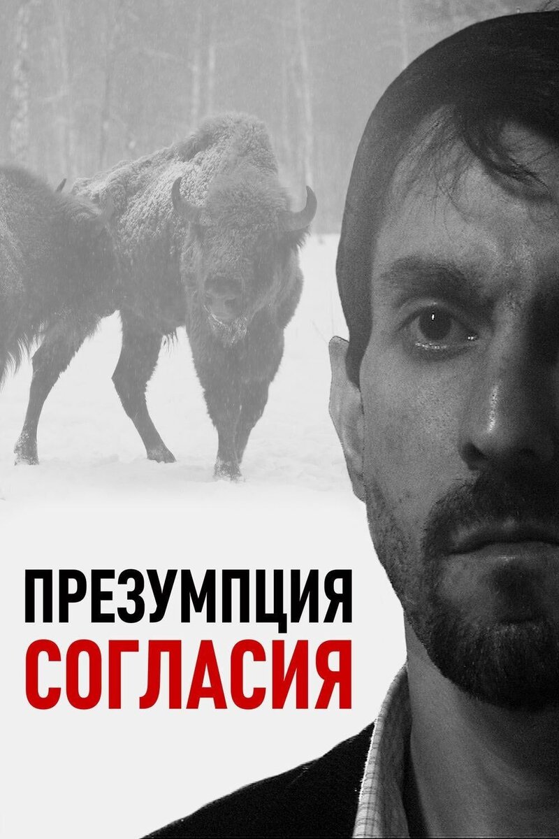 Prezumptsiya soglasiya (2011) - poster 1
