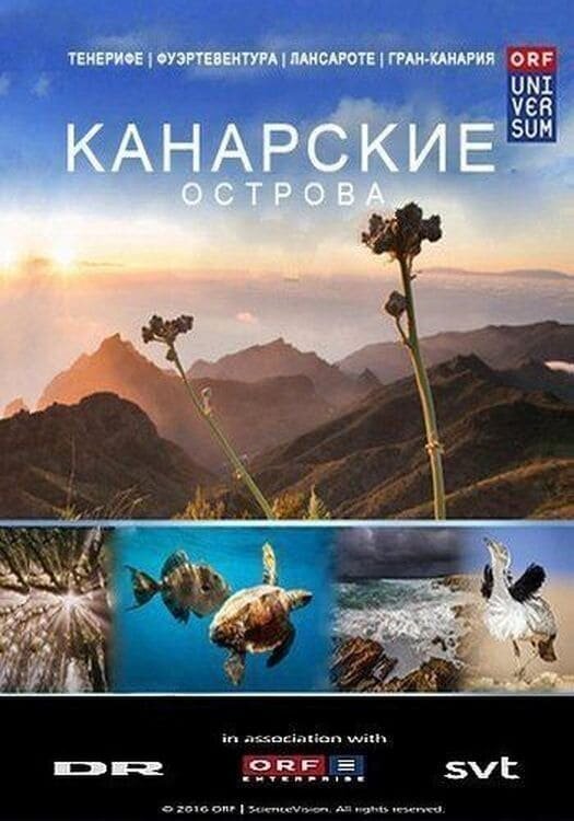 Канарские острова — мир огненных гор (2016) - постер 1
