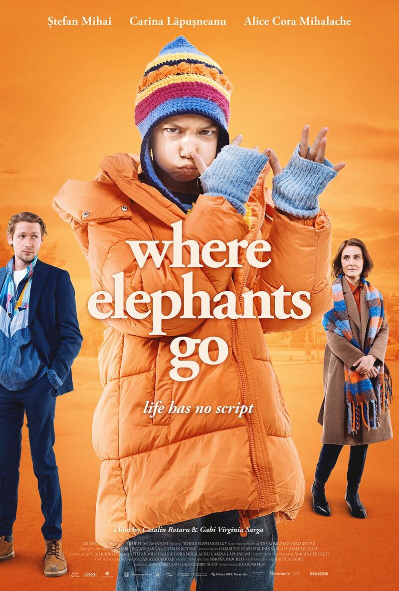 Where Elephants Go (2024) - poster 1