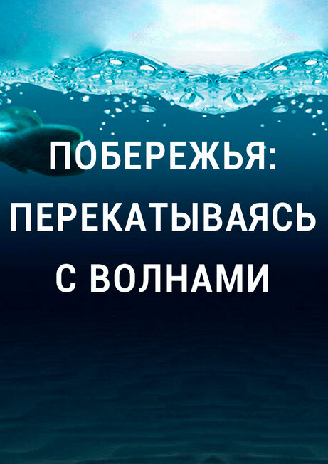 Побережья: Перекатываясь с волнами (2020) - poster 1