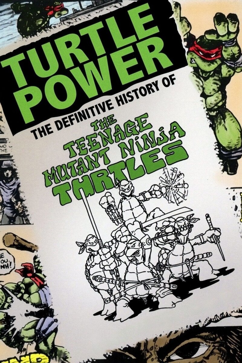 Turtle Power: The Definitive History of the Teenage Mutant Ninja Turtles (2014) - poster 1