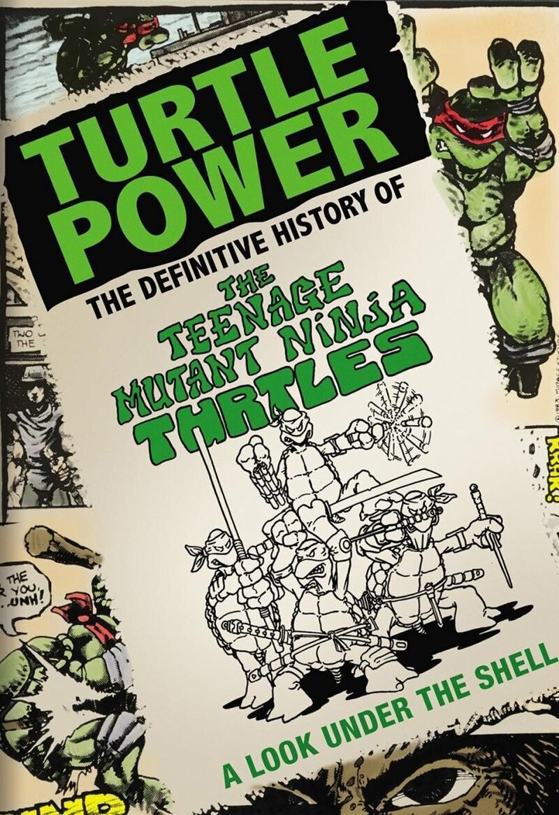 Turtle Power: The Definitive History of the Teenage Mutant Ninja Turtles (2014) - poster 2