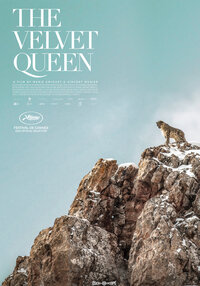 The Velvet Queen