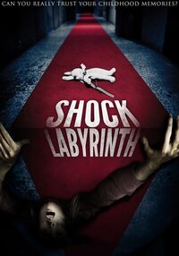 The Shock Labyrinth 3D