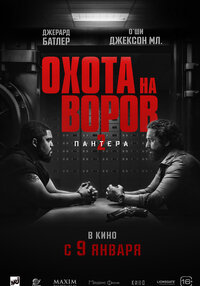 Охота на воров 2: Пантера