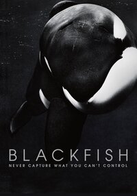 Blackfish