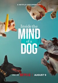 Inside the Mind of a Dog