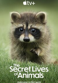 The Secret Lives of Animals