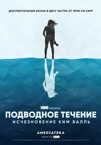 Undercurrent: The Disappearance of Kim Wall