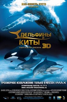 Дельфины и Киты 3D