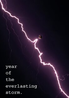 The Year of the Everlasting Storm