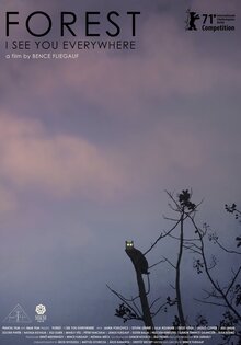 Forest – I See You Everywhere