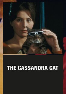 The Cassandra Cat