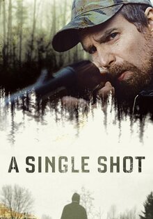 A Single Shot