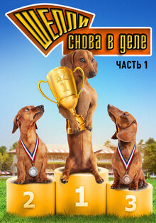 Шелли снова в деле. Часть 1