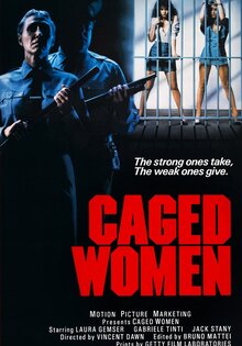 Violence in a Women's Prison
