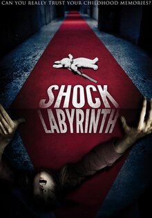 The Shock Labyrinth 3D