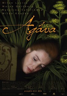 Agava