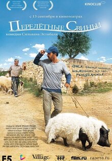 Перелетные свиньи