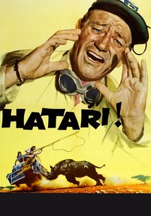 Hatari!