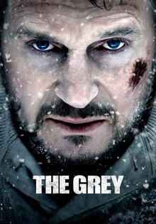 The Grey