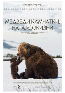 Медведи Камчатки. Начало жизни