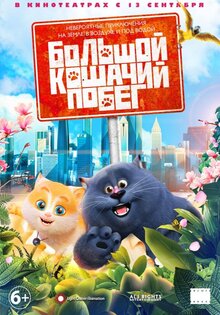 Большой кошачий побег