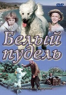 Белый пудель