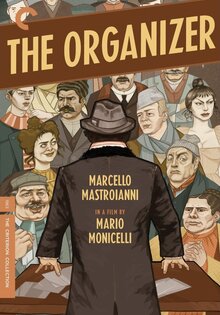 The Organizer