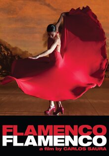 Flamenco, Flamenco