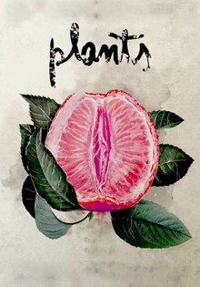 Las Plantas