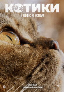 Котики