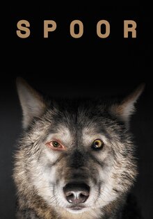 Spoor