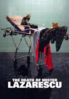 The Death of Mr. Lazarescu