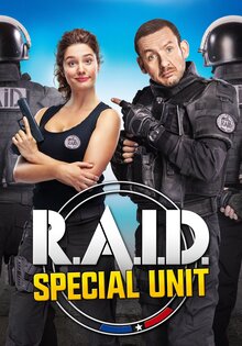 Raid dingue