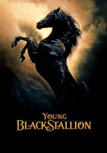 The Young Black Stallion