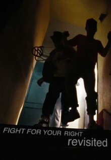 Fight for Your Right Revisited