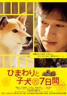 Seven Days of Himawari and Her Puppies