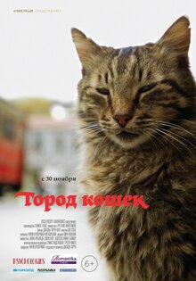 Город Кошек